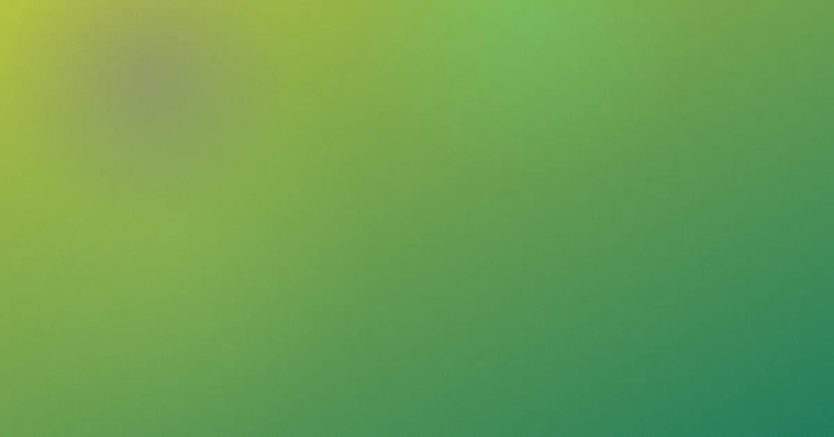国宝特工攻略：新手先看这份选择表